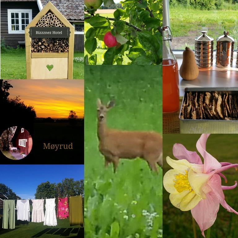 Moyrud Inn Ottestad 外观 照片